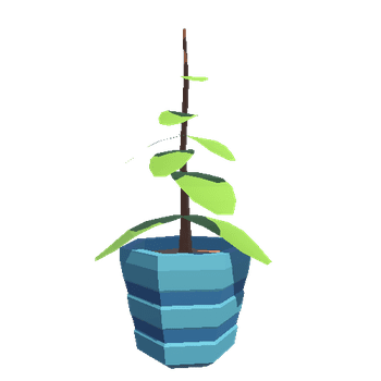 House plant 3